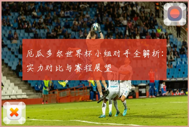 厄瓜多尔世界杯小组对手全解析：实力对比与赛程展望